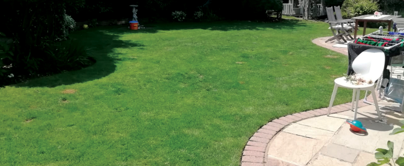 Lawn after treatment